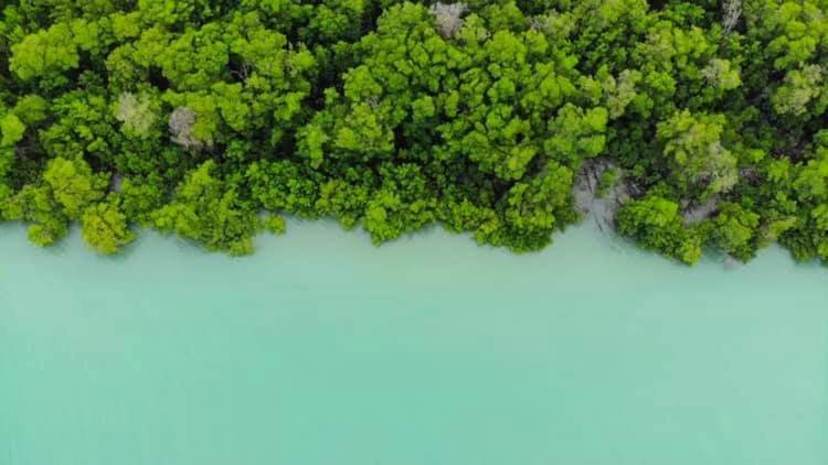 Pousada Lagunas Ponta do Anel Zewnętrze zdjęcie